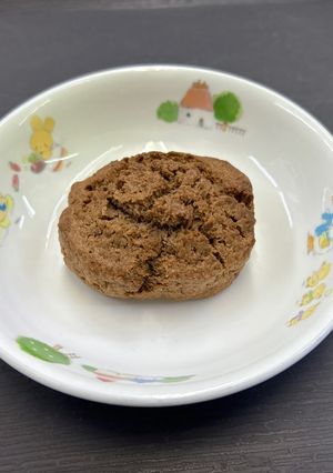 保育園のココアスコーン-レシピのメイン写真