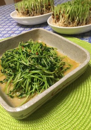 常備菜「豆苗の豆板醤炒め」-レシピのメイン写真