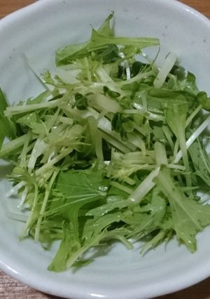 水菜とかいわれのグリーンサラダ-レシピのメイン写真