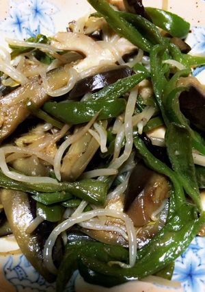 夏野菜炒め-レシピのメイン写真