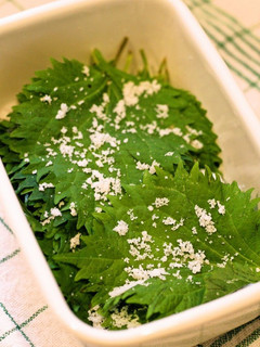 大葉の塩漬け-レシピのメイン写真