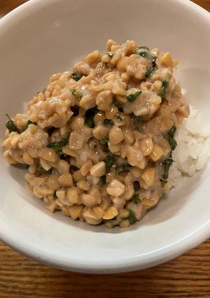 紫蘇の実納豆ご飯-レシピのメイン写真