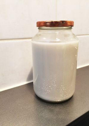カスピ海ヨーグルト（おすそ分け用）-レシピのメイン写真