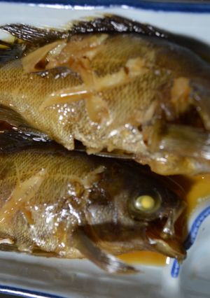 甘辛☆メバル、カサゴの煮つけ-レシピのメイン写真