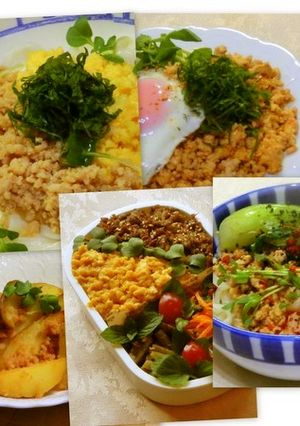 ひき肉ソボロ-レシピのメイン写真
