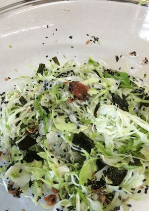 梅とキャベツでさっぱりサラダ-レシピのメイン写真