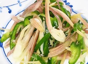 ご飯に良く合う☆茗荷とピーマンの塩もみ♬-レシピのメイン写真