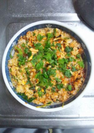 １２月１４日晩飯【鮭のアラビアータ炒飯】-レシピのメイン写真