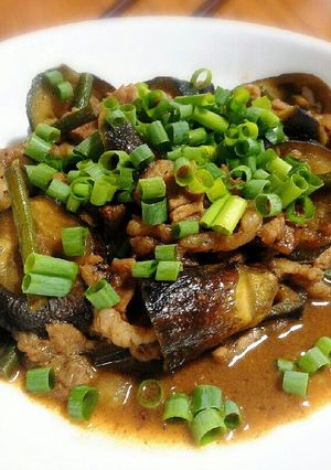 ～ナスの甘辛な肉味噌炒め～-レシピのメイン写真