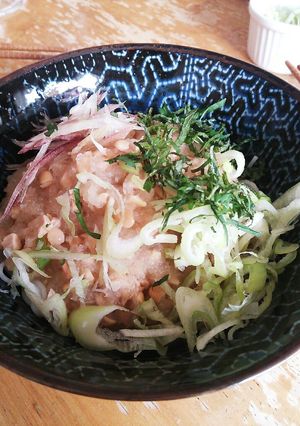 ぶっかけ♪納豆大根おろしそうめん-レシピのメイン写真
