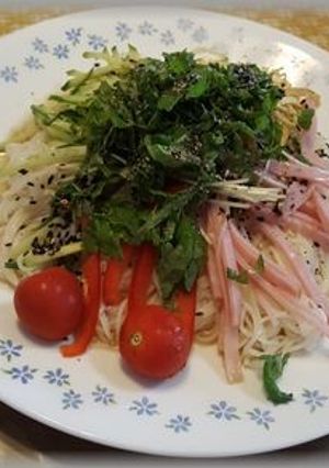 冷やしそうめん-レシピのメイン写真