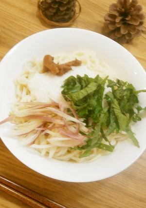 一人御膳□山芋ぶっかけ冷やうどん-レシピのメイン写真