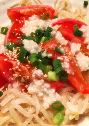 トマトともやしの塩麹サラダ-レシピのメイン写真