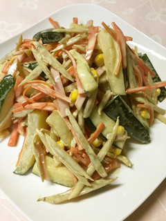 ズッキーニ入り♬ごぼうサラダ-レシピのメイン写真
