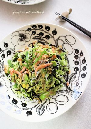 キャベツ・ひじき・わかめの具沢山サラダ-レシピのメイン写真