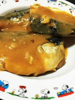 サバの味噌煮-レシピのメイン写真