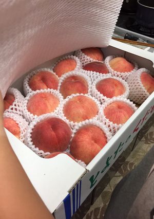 桃のジェラート 旬！適当-レシピのメイン写真