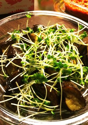 揚げナスとかいわれのサラダ-レシピのメイン写真