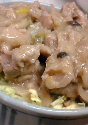 5分で完成~かんたん豚味噌生姜丼-レシピのメイン写真