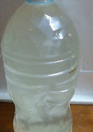 レモン塩水-レシピのメイン写真