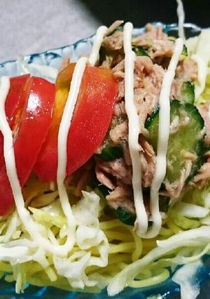 塩焼きそばで夏の冷やしランチ！-レシピのメイン写真