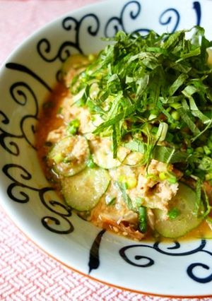 ピリ辛冷や汁-レシピのメイン写真