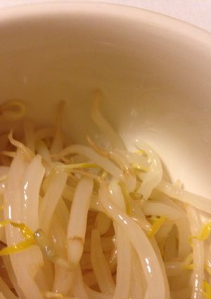 ナムル-レシピのメイン写真
