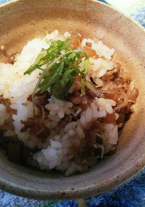 牛肉じゃこんにゃくライス-レシピのメイン写真