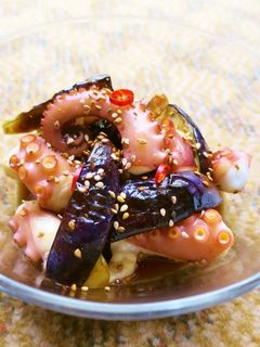 タコとナスの南蛮炒め-レシピのメイン写真