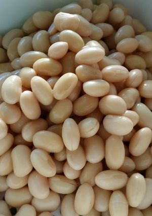 シャトルシェフde大豆の戻し方-レシピのメイン写真