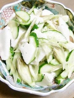 みょうがと長芋ときゅうりの、白だしサラダ-レシピのメイン写真