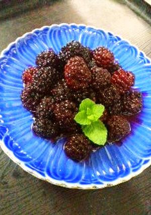 【簡単で美味しいブラックベリーの食べ方】-レシピのメイン写真
