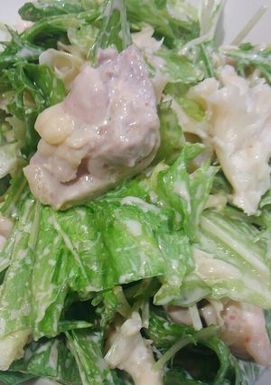 チキン梅マヨサラダ-レシピのメイン写真