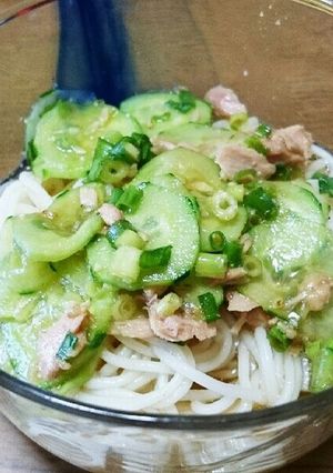 簡単☆中華風そーめん-レシピのメイン写真