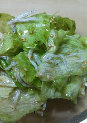 食物繊維たっぷり♪レタスの簡単サラダ-レシピのメイン写真