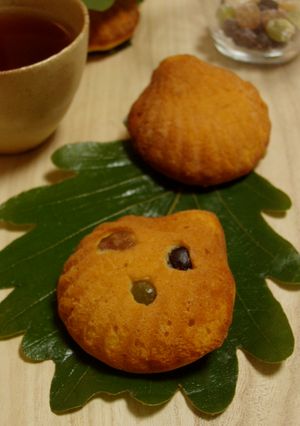 柏餅風マドレーヌ-レシピのメイン写真