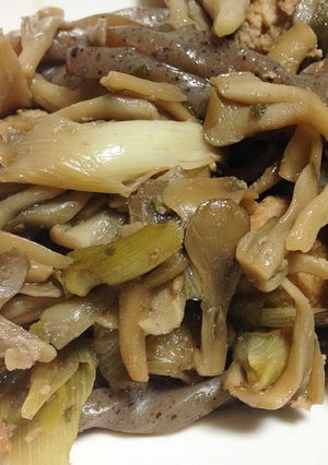 ごはんが進む♫鶏だんごとこんにゃくの煮物-レシピのメイン写真
