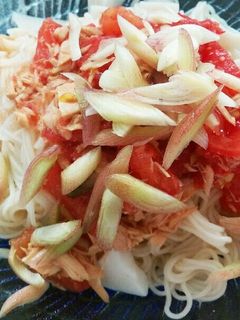 トマトとツナのぶっかけそうめん-レシピのメイン写真