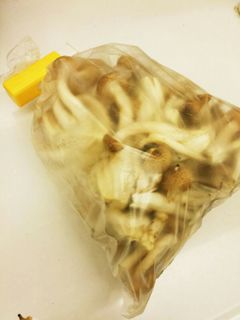 使いたい時にすぐ使える♪しめじの冷凍保存-レシピのメイン写真