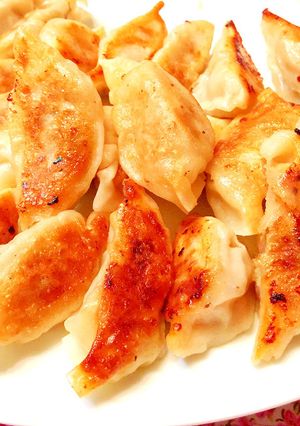 キャベツたっぷり皮から手作りぎょうざ-レシピのメイン写真