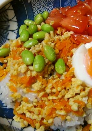 フレッシュトマト鶏そぼろ丼-レシピのメイン写真