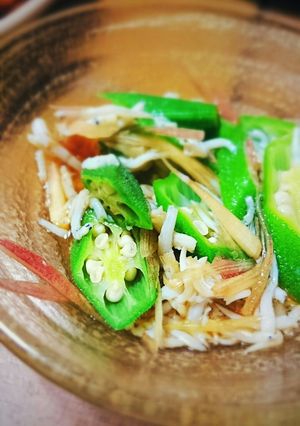 おくらとしらすのみょうが和え-レシピのメイン写真