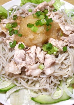 納涼！ 夏に冷しゃぶサラダの冷やしそば-レシピのメイン写真