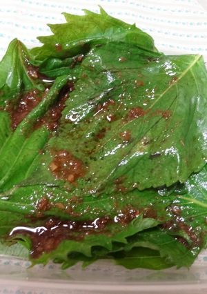 お弁当や朝食に！大葉柚胡椒漬け-レシピのメイン写真