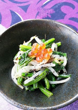 ホウレン草ともやし～胡麻味噌和え-レシピのメイン写真