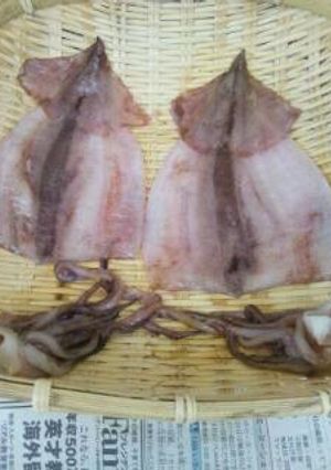 材料３つ♪おつまみにも♪イカの一夜干し-レシピのメイン写真