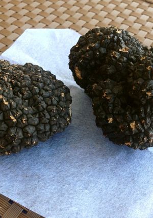【世界初】逸品とはトリュフ蕎麦の鴨せいろ-レシピのメイン写真