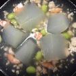 冷やして美味しい!冬瓜のスープ煮込み♪