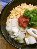 薬味たっぷり★冷やしうどん・そば
