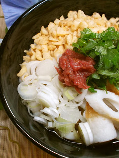薬味たっぷり★冷やしうどん・そば-レシピのメイン写真